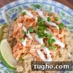 Salsa Chicken Recipe for Instant Pot or Oven 3 Instant Pot Salsa Chicken