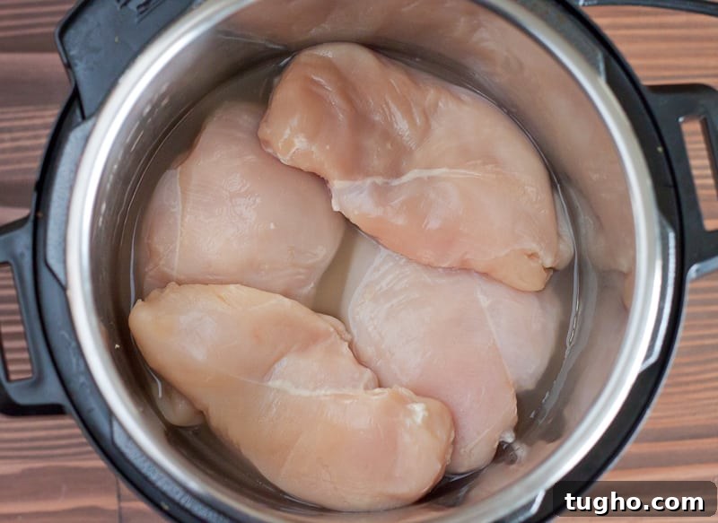 Salsa Chicken Recipe for Instant Pot or Oven 4 Instant Pot Salsa chicken.