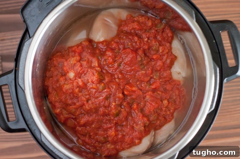 Salsa Chicken Recipe for Instant Pot or Oven 5 Instant Pot Salsa Chicken