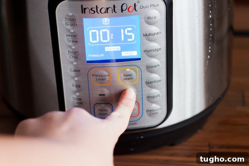 Salsa Chicken Recipe for Instant Pot or Oven 6 Instant Pot salsa chicken