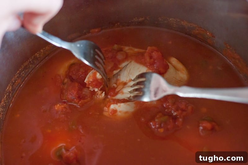 Salsa Chicken Recipe for Instant Pot or Oven 7 Instant Pot Salsa Chicken
