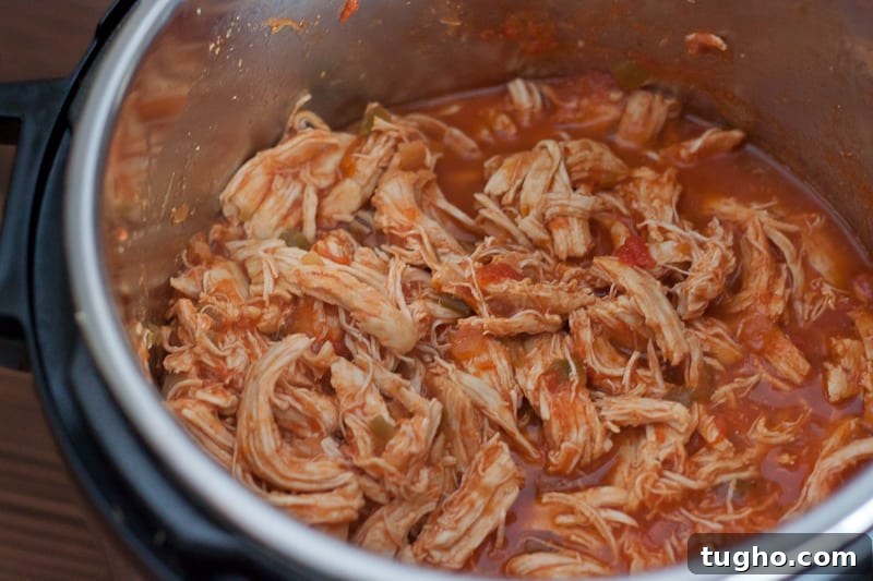 Salsa Chicken Recipe for Instant Pot or Oven 8 Instant Pot Salsa Chicken
