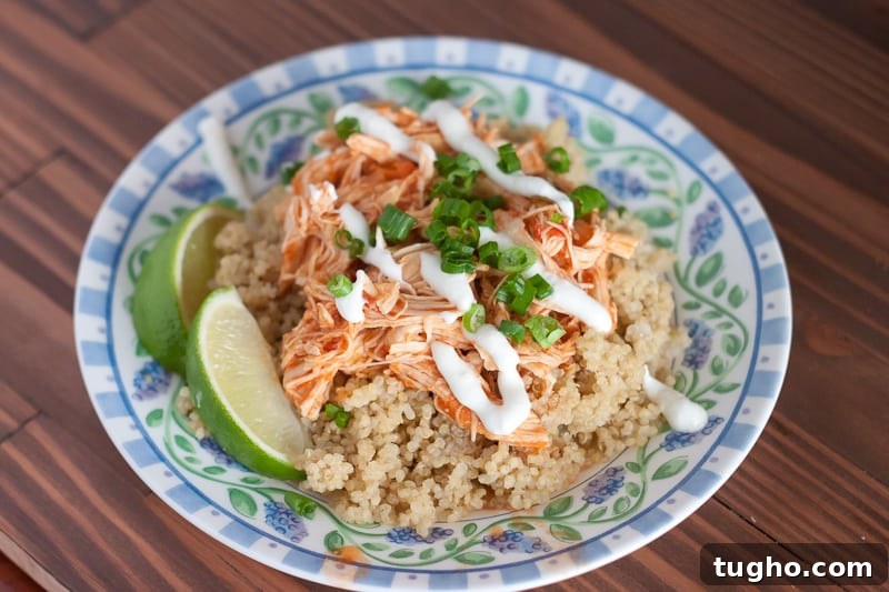 Salsa Chicken Recipe for Instant Pot or Oven 9 Instant Pot Salsa Chicken