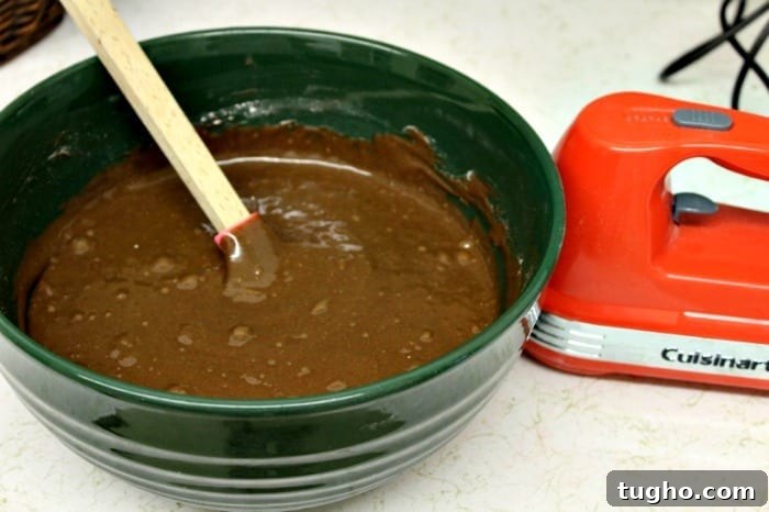 Guinness Chocolate Cake Pops Recipe 6 guinness cake pops step 3