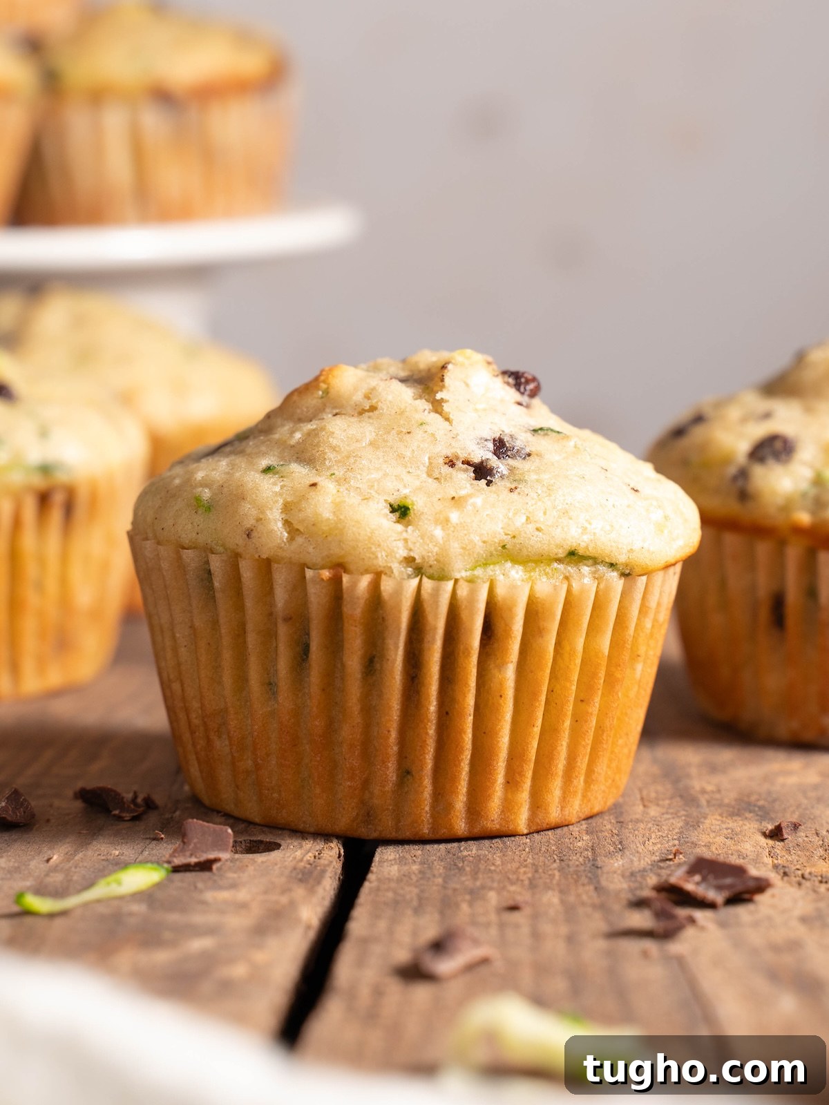 Close up look at a zucchini chocolate chip muffin
