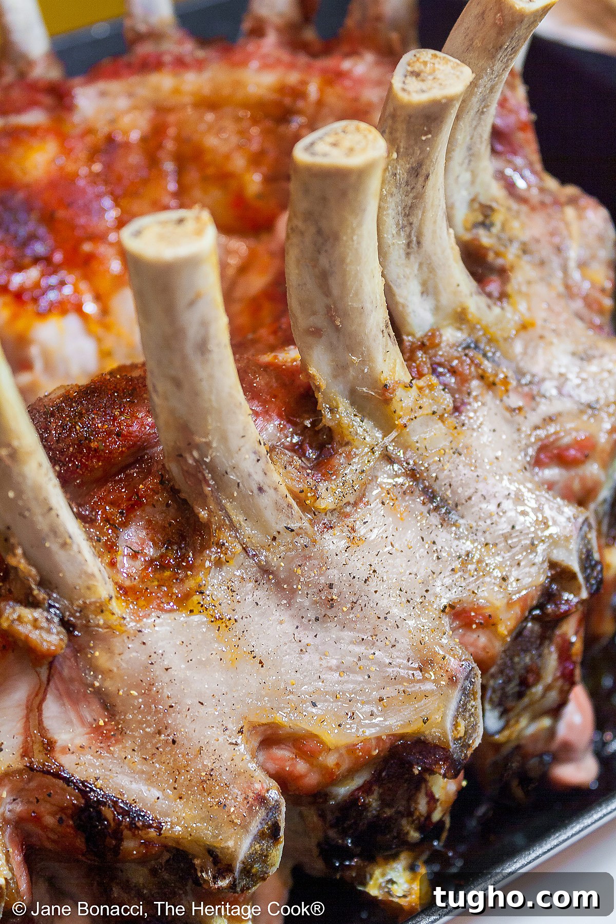 Close up of roasted crown pork roast with clean frenched bones. 