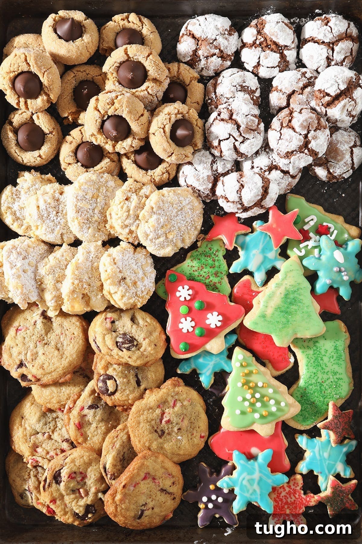 Host a Cookie Swap Party: Invitations, Recipes and Tips 3 A close up of many different types of cookies
