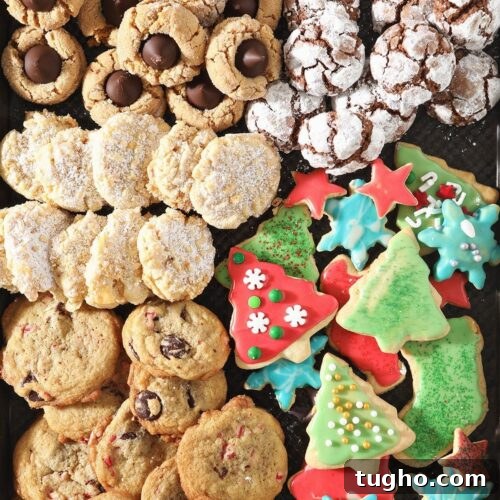 Host a Cookie Swap Party: Invitations, Recipes and Tips 6 A close up of many different types of cookies