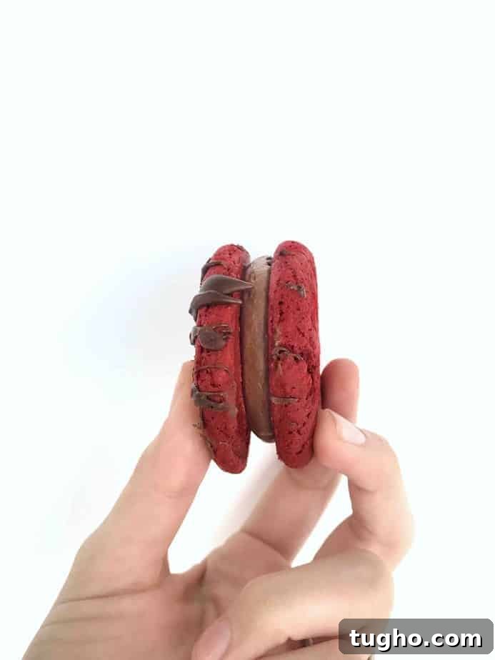 Red Velvet Cookies Topped with Nutella Cream Cheese Frosting 4 hand holding single red velvet cookie