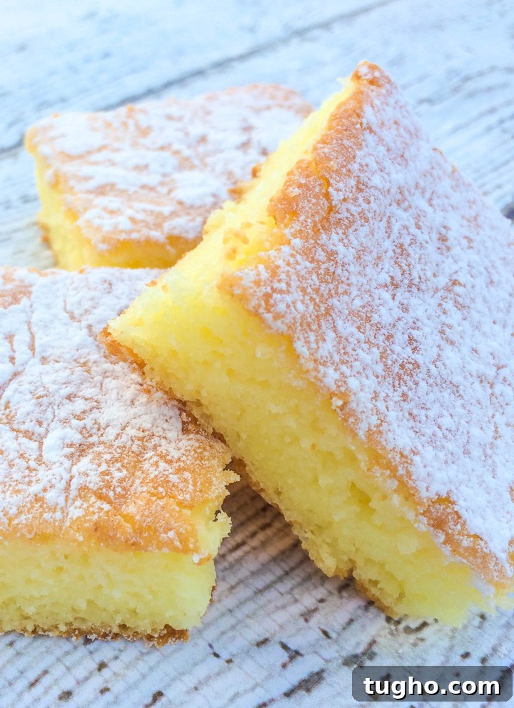 Two Ingredient Lemon Cake Bars Recipe 2 Two Ingredient Lemon Cake Bars