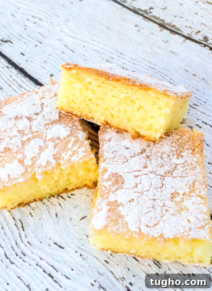 Two Ingredient Lemon Cake Bars Recipe 3 Two Ingredient Lemon Cake Bars