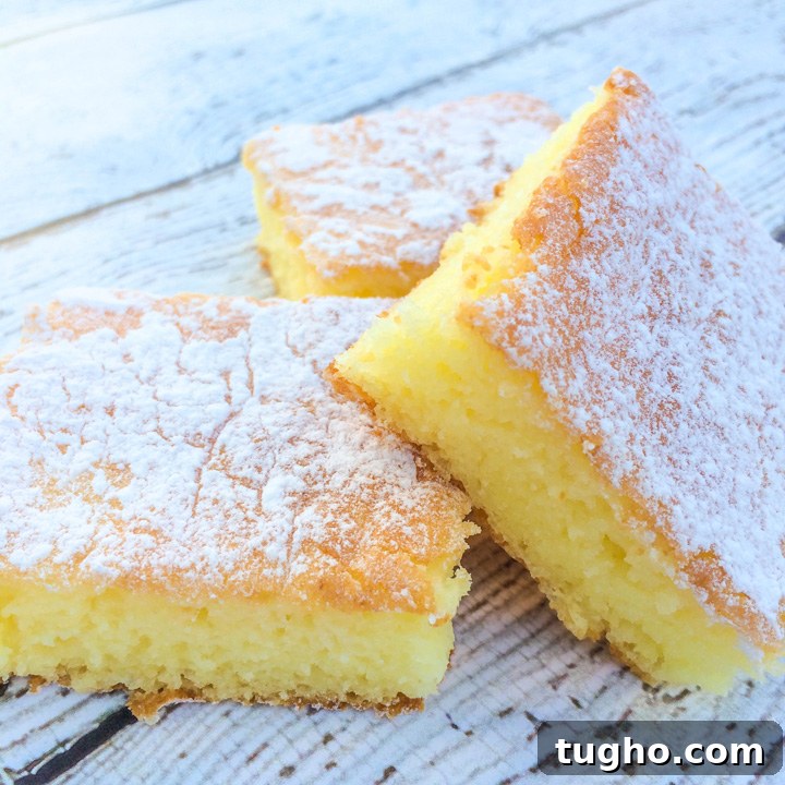 Two Ingredient Lemon Cake Bars Recipe 4 Two Ingredient Lemon Cake Bars