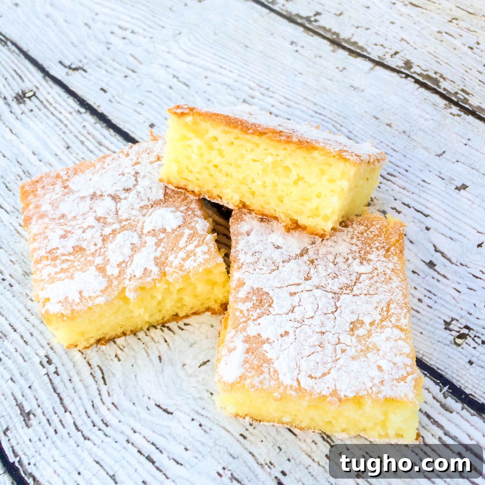 Two Ingredient Lemon Cake Bars Recipe 5 Two Ingredient Lemon Cake Bars