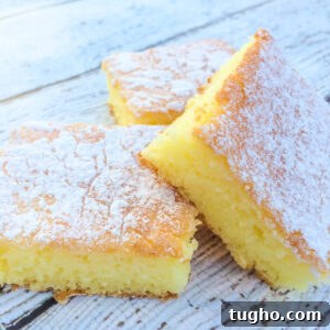 Two Ingredient Lemon Cake Bars Recipe 6 Two Ingredient Lemon Cake Bars