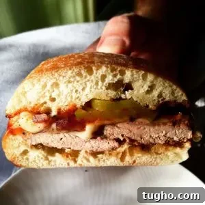 Grilled Pork Tenderloin Sandwich Recipe 7 Grilled Pork Tenderloin Sandwich, small photo