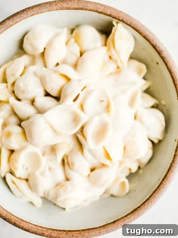Pasta with alfredo sauce in a rustic bowl.