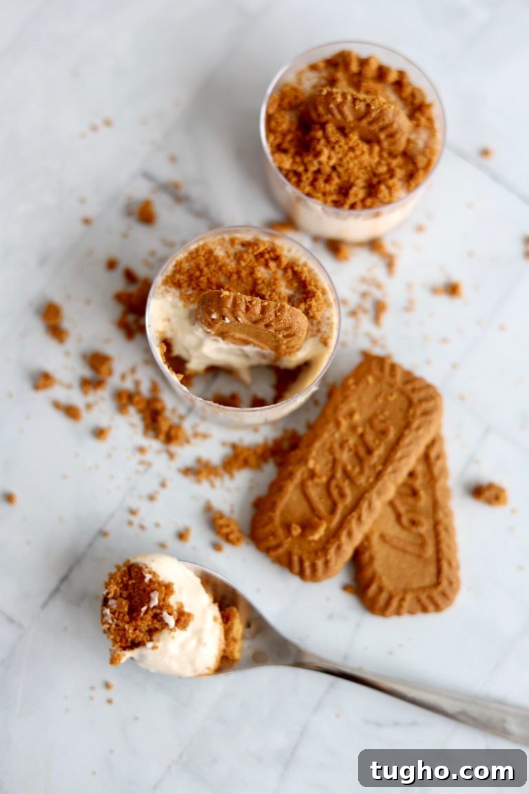 No-Bake Spiced Biscoff Cheesecake Cups 2 Biscoff cheesecake cup topped with cookie and cinnamon