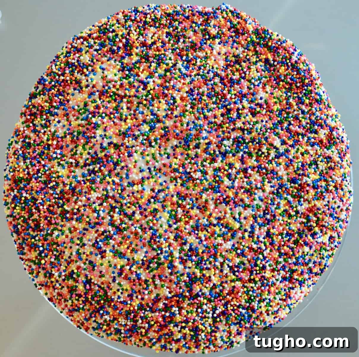 top sprinkles view of the easy ice cream cake 