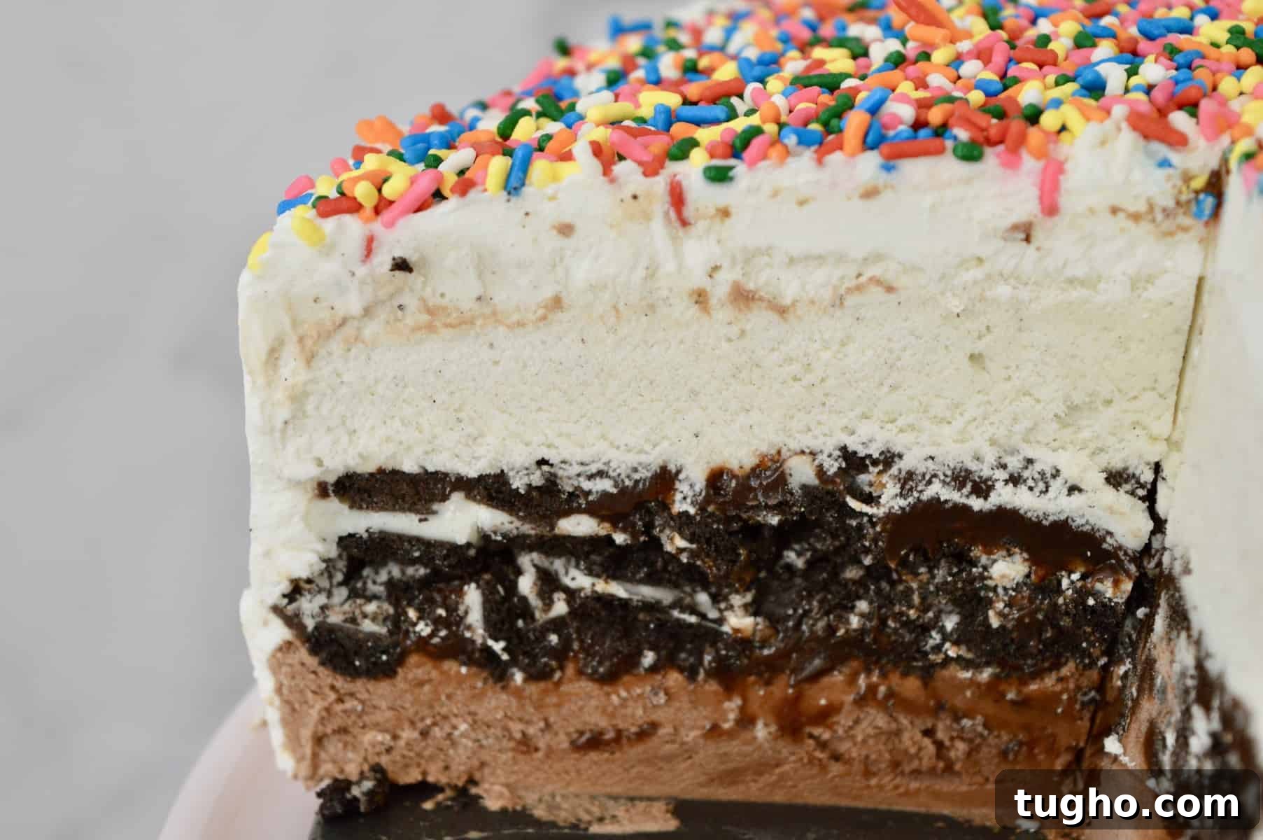 slice of ice cream cake. 
