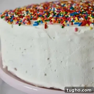Close up of the side of the easy ice cream cake recipe.