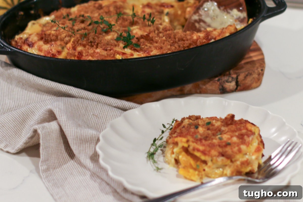 Plated slice of Delicata Squash Au Gratin with a crispy breadcrumb topping, served beside the full gratin in a cast-iron skillet.