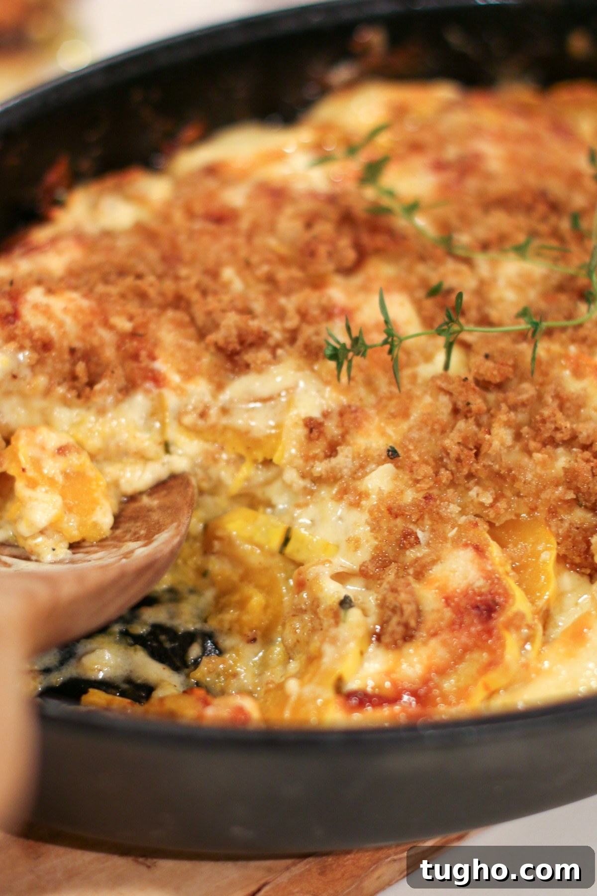 Baked delicata squash gratin in a baking dish, topped with melted cheese and breadcrumbs, golden and bubbly.