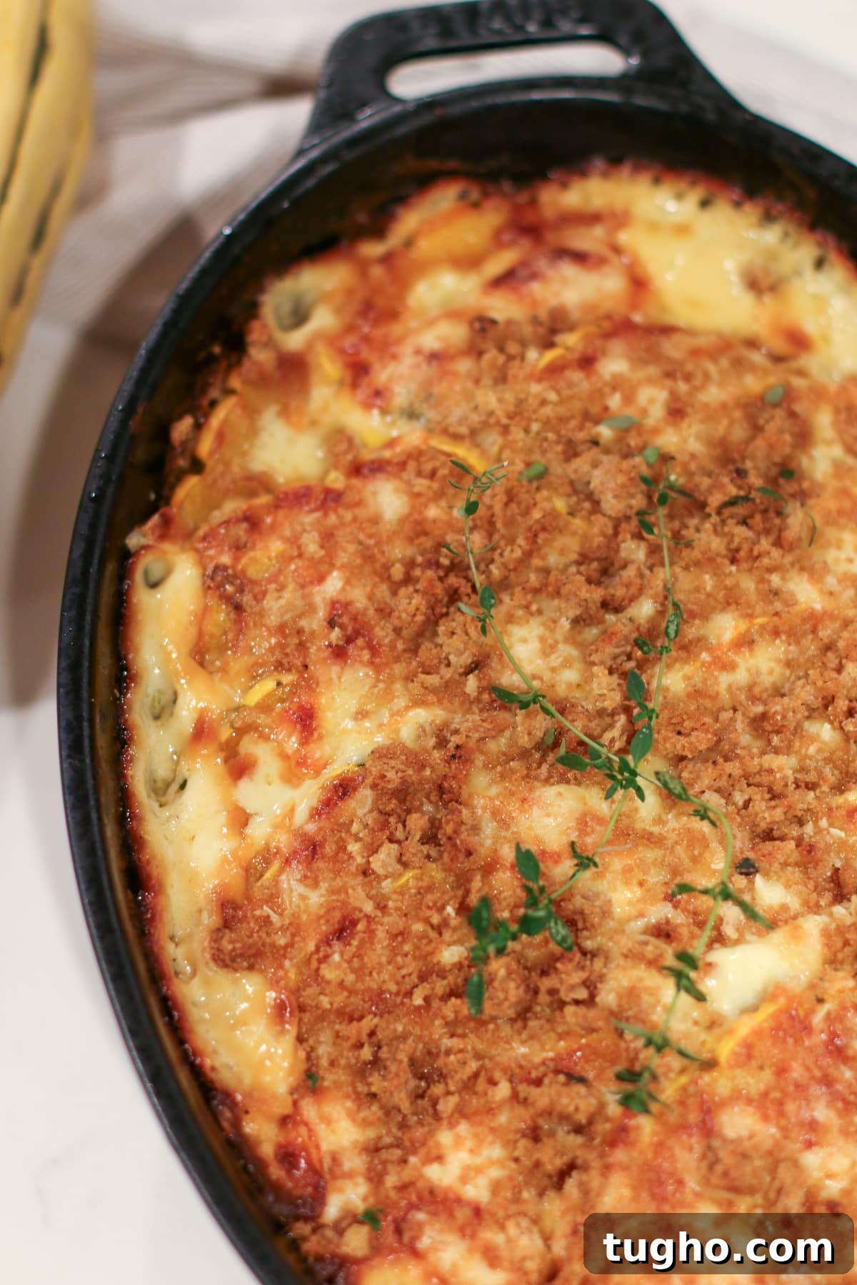 Baked delicata squash gratin in a baking dish, topped with melted cheese and breadcrumbs, golden and bubbly.