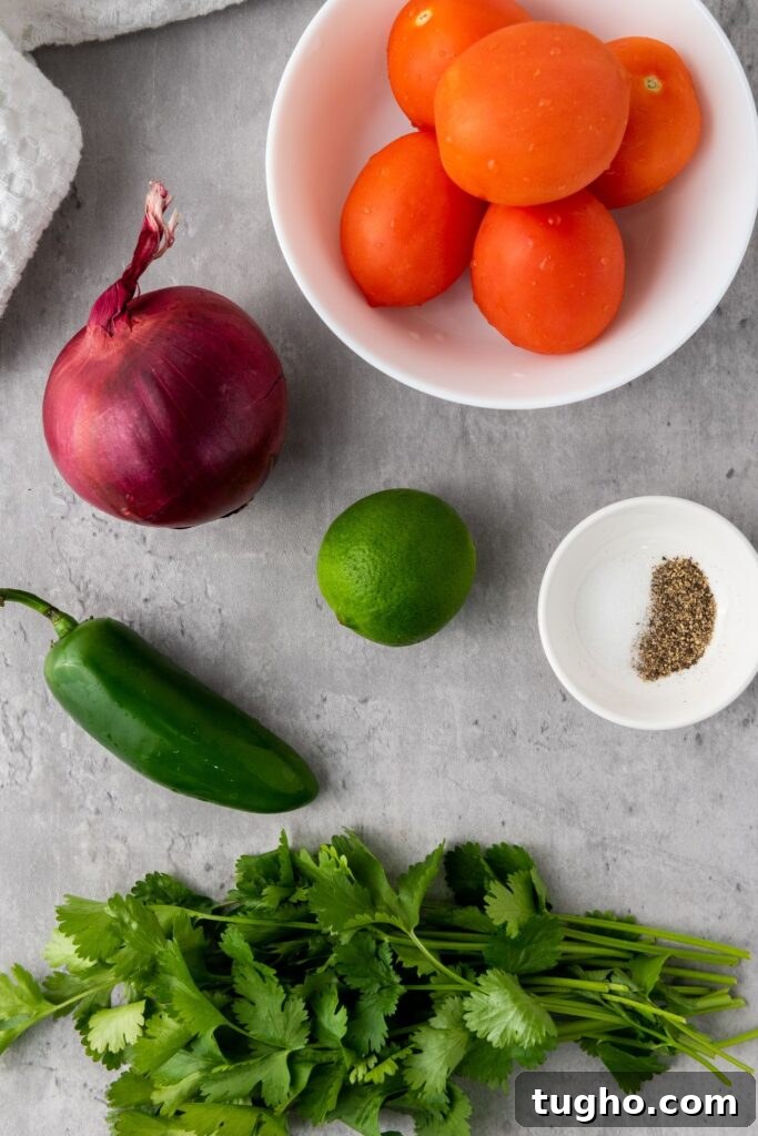 How to Make Garden Fresh Salsa at Home 3 ingredients for salsa on table. Tomatoes, red onion, jalapeno, lime, cilantro, and salt and pepper