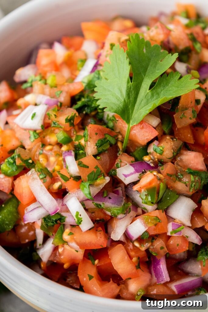 How to Make Garden Fresh Salsa at Home 5 close up of salsa in a bowl
