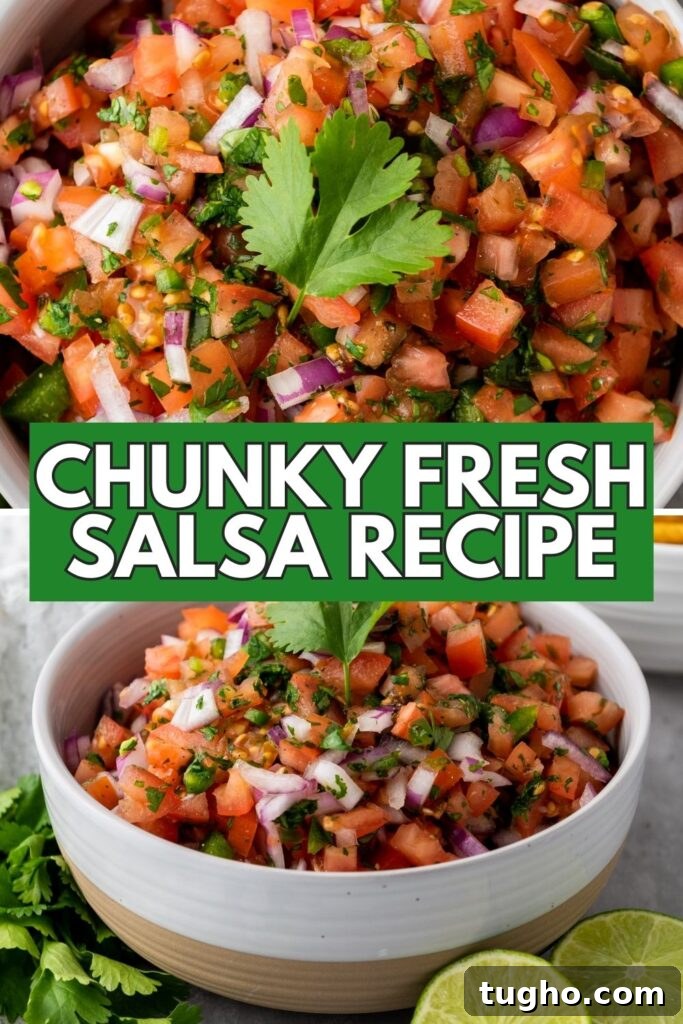 How to Make Garden Fresh Salsa at Home 6 collage of salsa