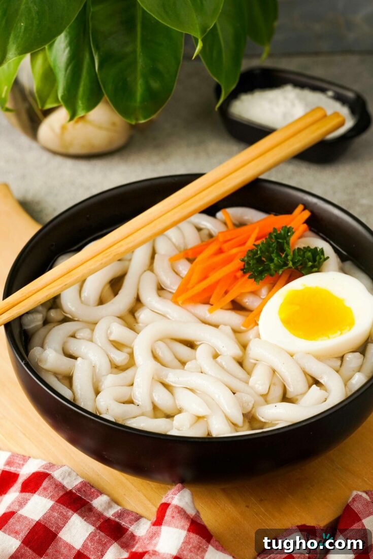 Gluten-Free Udon Noodles