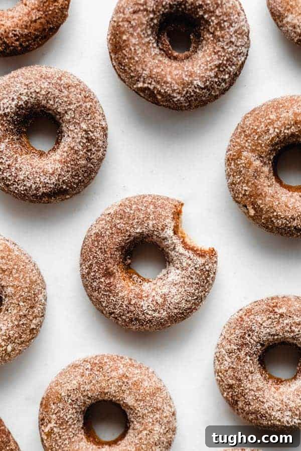 14 Fall Apple Recipes You'll Love 14 Vegan Apple Cider Donuts