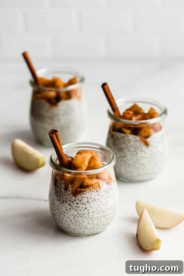 14 Fall Apple Recipes You'll Love 4 Cinnamon Apple Pie Chia Pudding