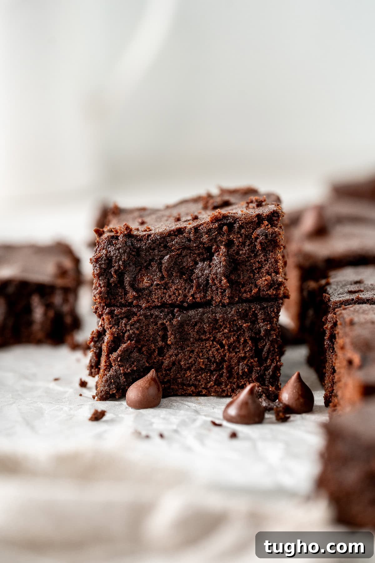 Fudgy Dairy-Free Chocolate Brownies 9 Two dairy free brownies stacked on top of each other with extra chocolate chips.