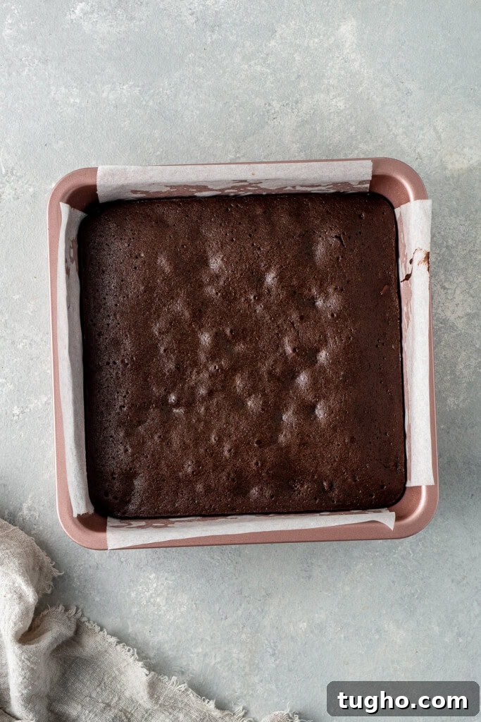Fudgy Dairy-Free Chocolate Brownies 7 The cooked brownies in the square baking pan.