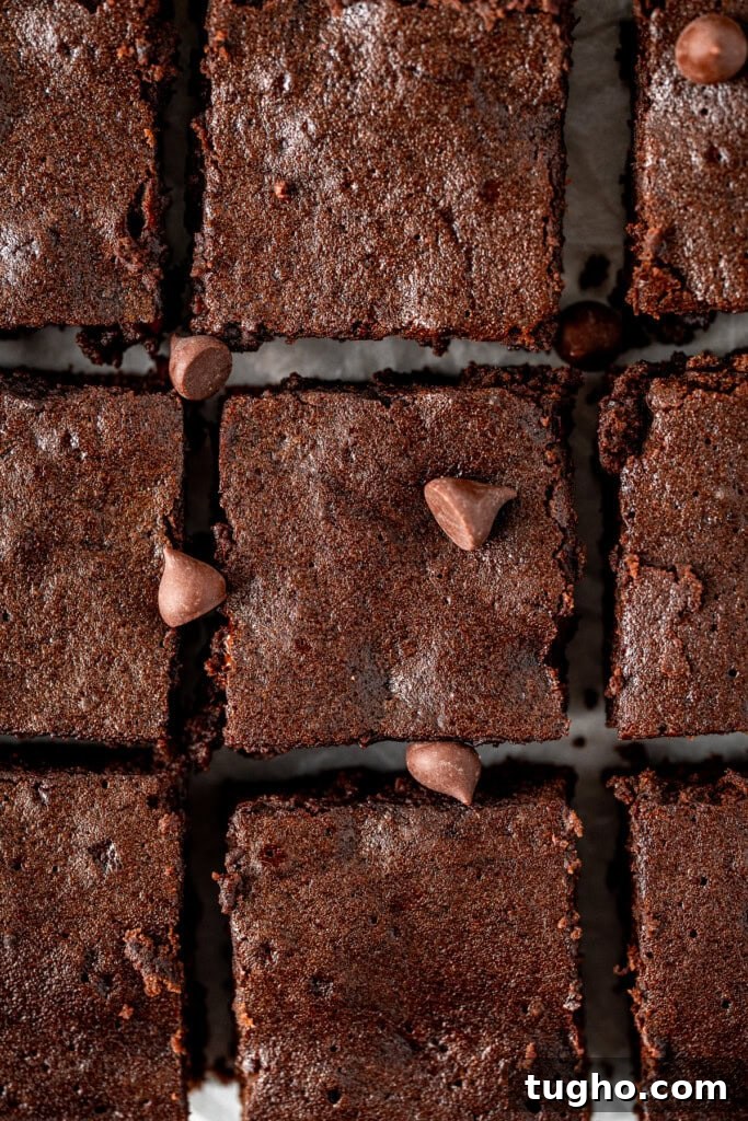 Fudgy Dairy-Free Chocolate Brownies 8 Close up of cut dairy free chocolate brownies.