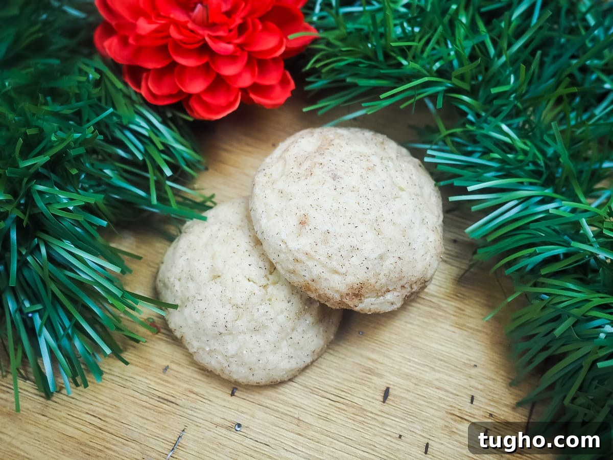 Apple Butter Snickerdoodle Cookies 13 Two snickerdoodles surrounded by Christmas garland.