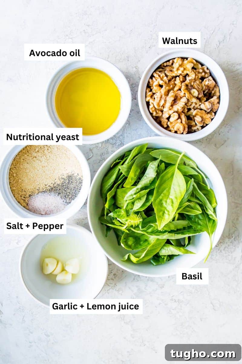 The ingredients needed to make pesto separated into bowls including basil leaves, walnuts, oil, garlic and spices.