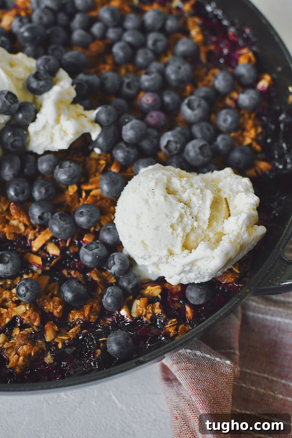 Blueberry Rhubarb Crisp Recipe with Oat Streusel 12 Crisp fresh from the oven with vanilla ice cream on top and extra blueberries. Ready to be eaten.