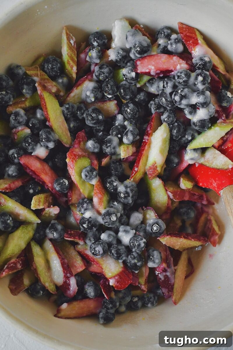 Blueberry Rhubarb Crisp Recipe with Oat Streusel 5 Rhubarb, blueberries, sugar, cornstarch, and lemon zest in a large bowl, after mixing.