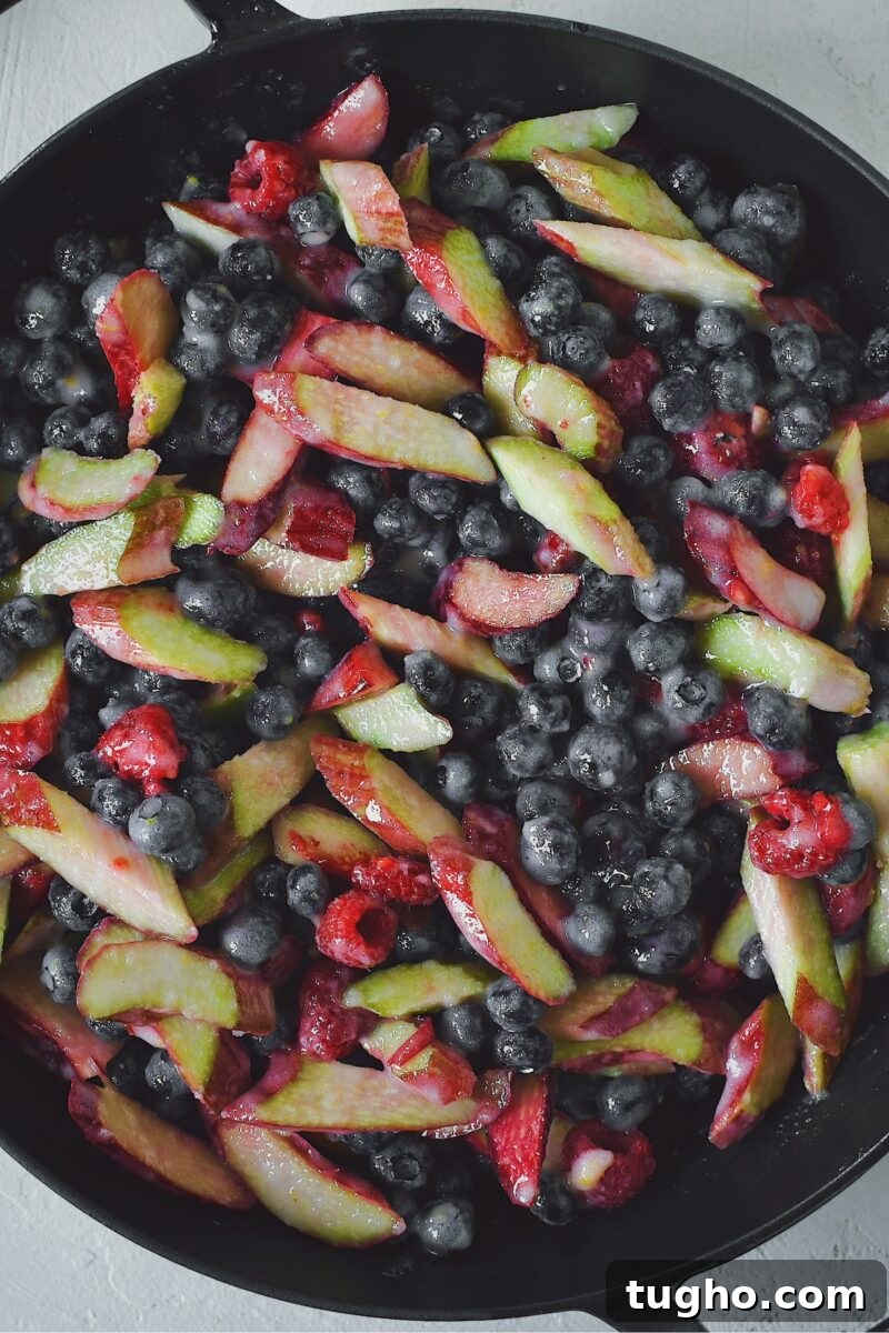 Blueberry Rhubarb Crisp Recipe with Oat Streusel 8 Berry and rhubarb mixture placed in a large skillet.