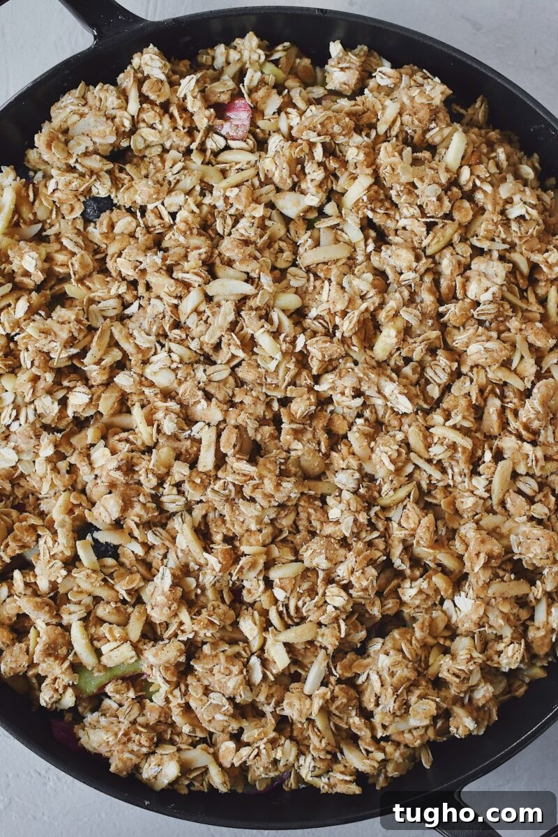 Blueberry Rhubarb Crisp Recipe with Oat Streusel 9 Berry and rhubarb mixture placed in a large skillet, crisp topping added.