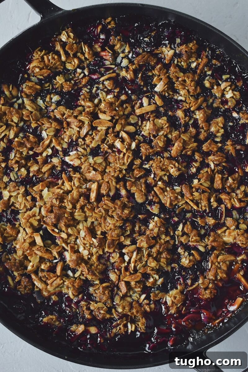 Blueberry Rhubarb Crisp Recipe with Oat Streusel 10 Blueberry Rhubarb Crisp just out of the oven.