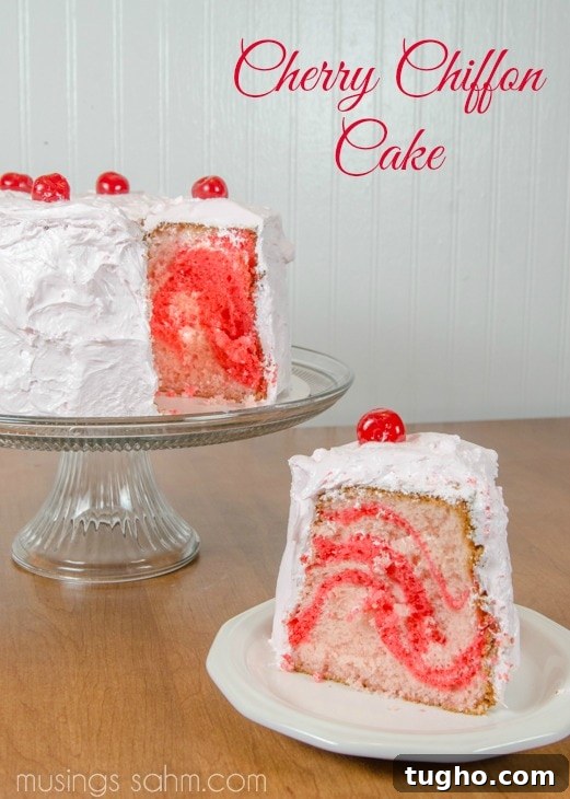 Fluffy Cherry Chiffon Cake Recipe with Fresh Cherries 7 Cherry Chiffon Cake