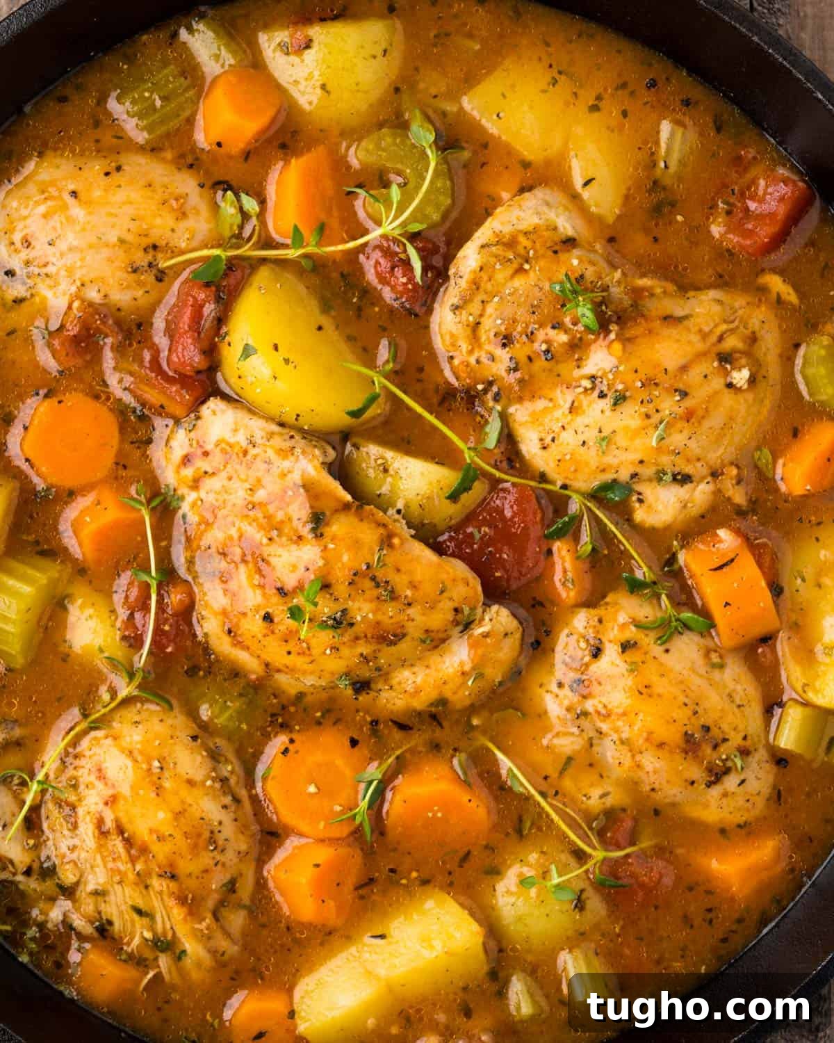 Instant Pot Chicken Stew with Tender Vegetables 9 instant pot chicken stew