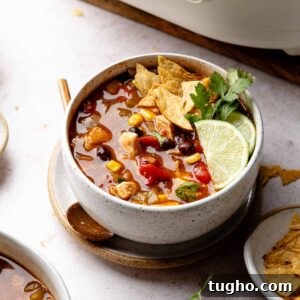 Slow Cooker Chicken Tortilla Soup Recipe 11 Bowl of chicken tortilla soup garnished with tortilla chips, lime wedges, and cilantro.