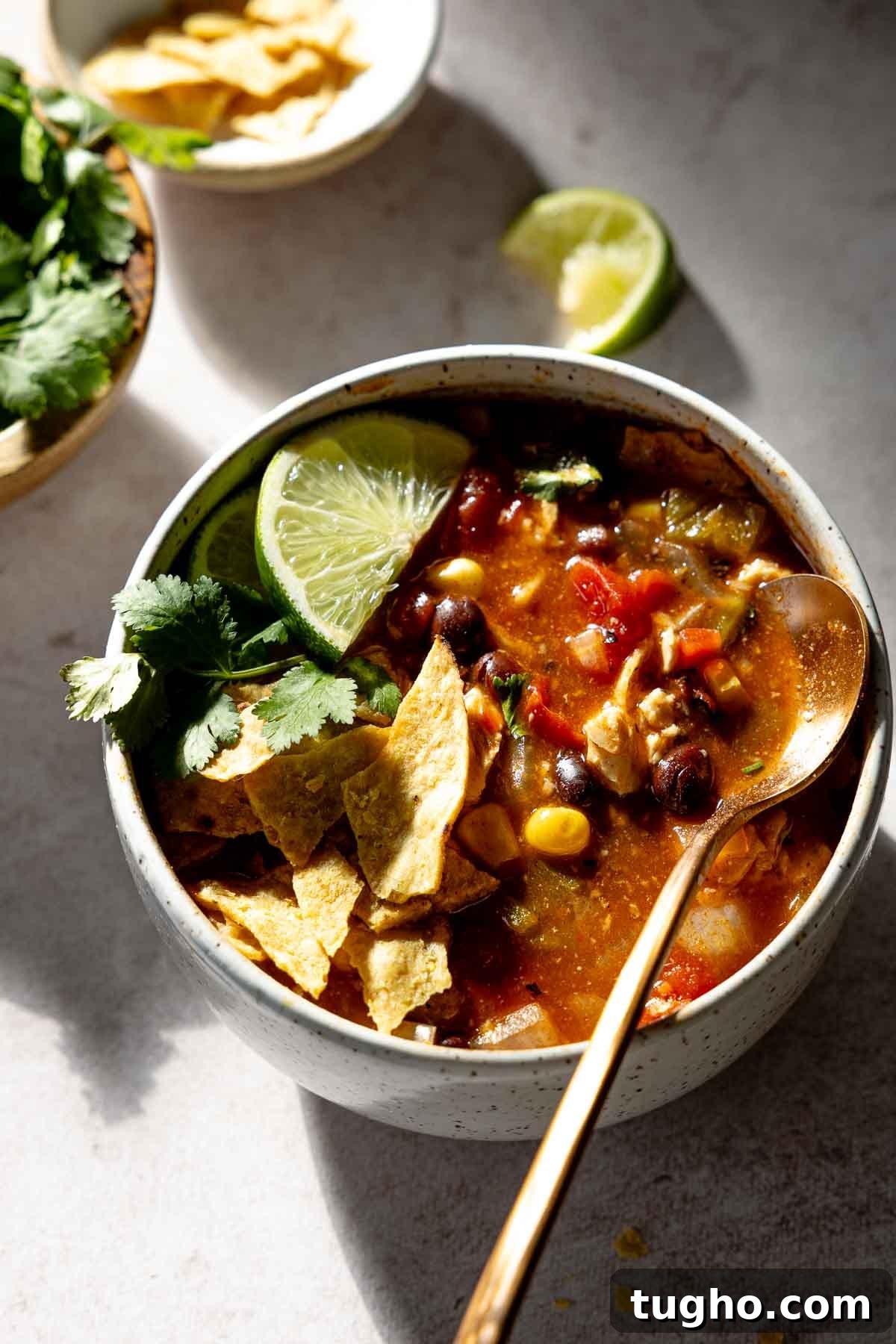 Slow Cooker Chicken Tortilla Soup Recipe 6 Chicken tortilla soup in bowl, with spoon resting to side, garnished with lime, cilantro, and tortilla chips.