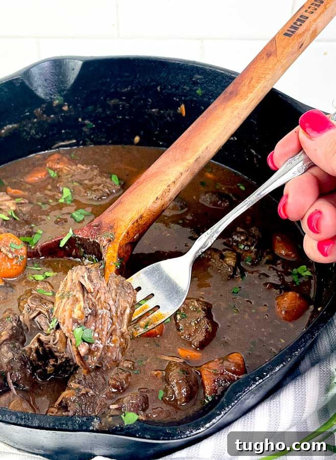 Slow-Simmered Red Wine Beef Stew with Mushrooms and Carrots 2 Red Wine Beef Stew with Mushrooms and Carrots with a for of beef
