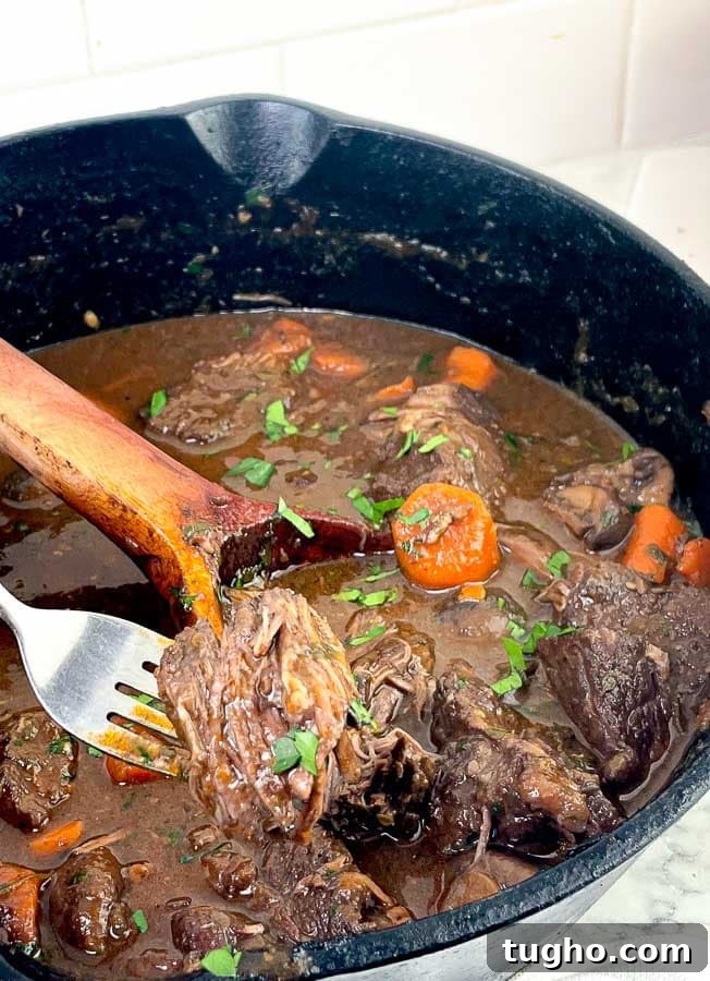 Slow-Simmered Red Wine Beef Stew with Mushrooms and Carrots 7 dutch oven with Red Wine Beef Stew with Mushrooms and Carrots