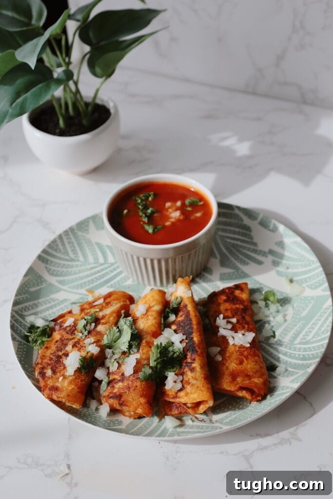 Vegan Birria Tacos with Perfect Meaty Texture 2 vegan birria tacos